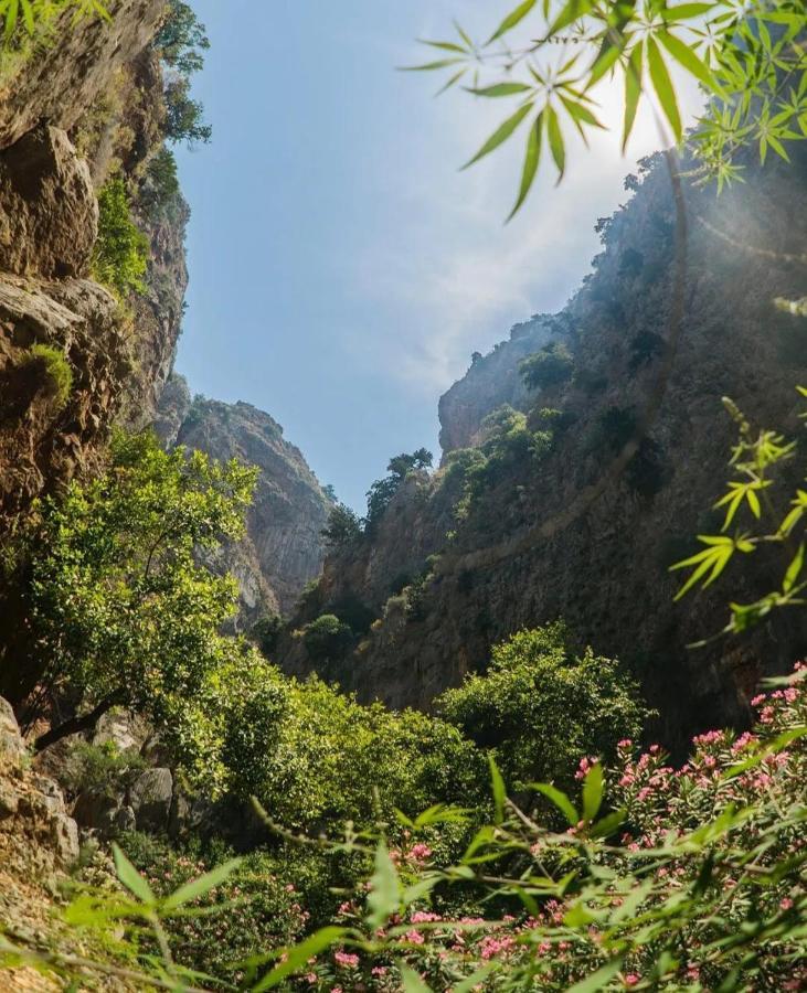 Butterfly Valley Beach Glamping With Food Hotel Oludeniz Exterior foto